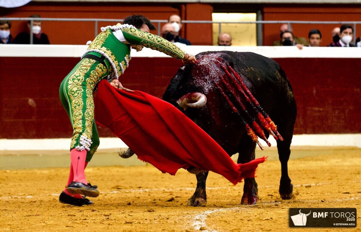 Gómez del Pilar, un valor seguro para las corridas duras