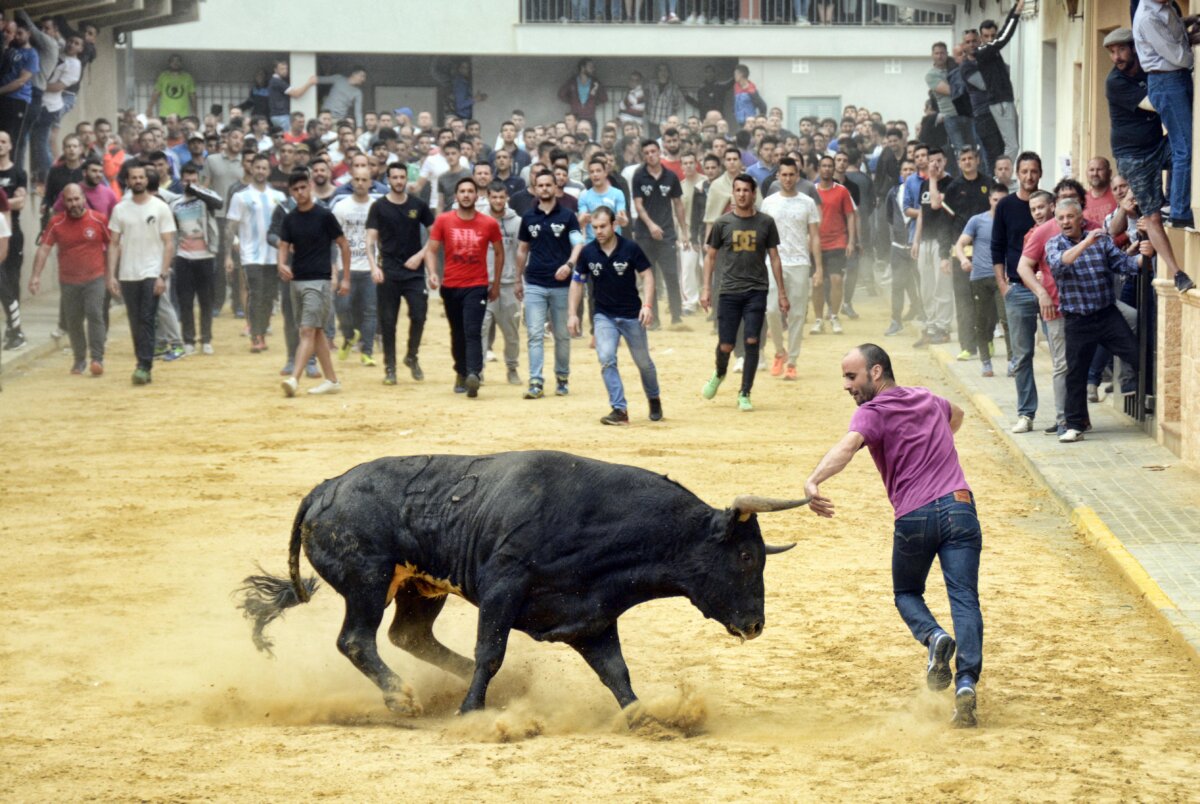 Fallece un hombre tras ser corneado por un astado en Onda