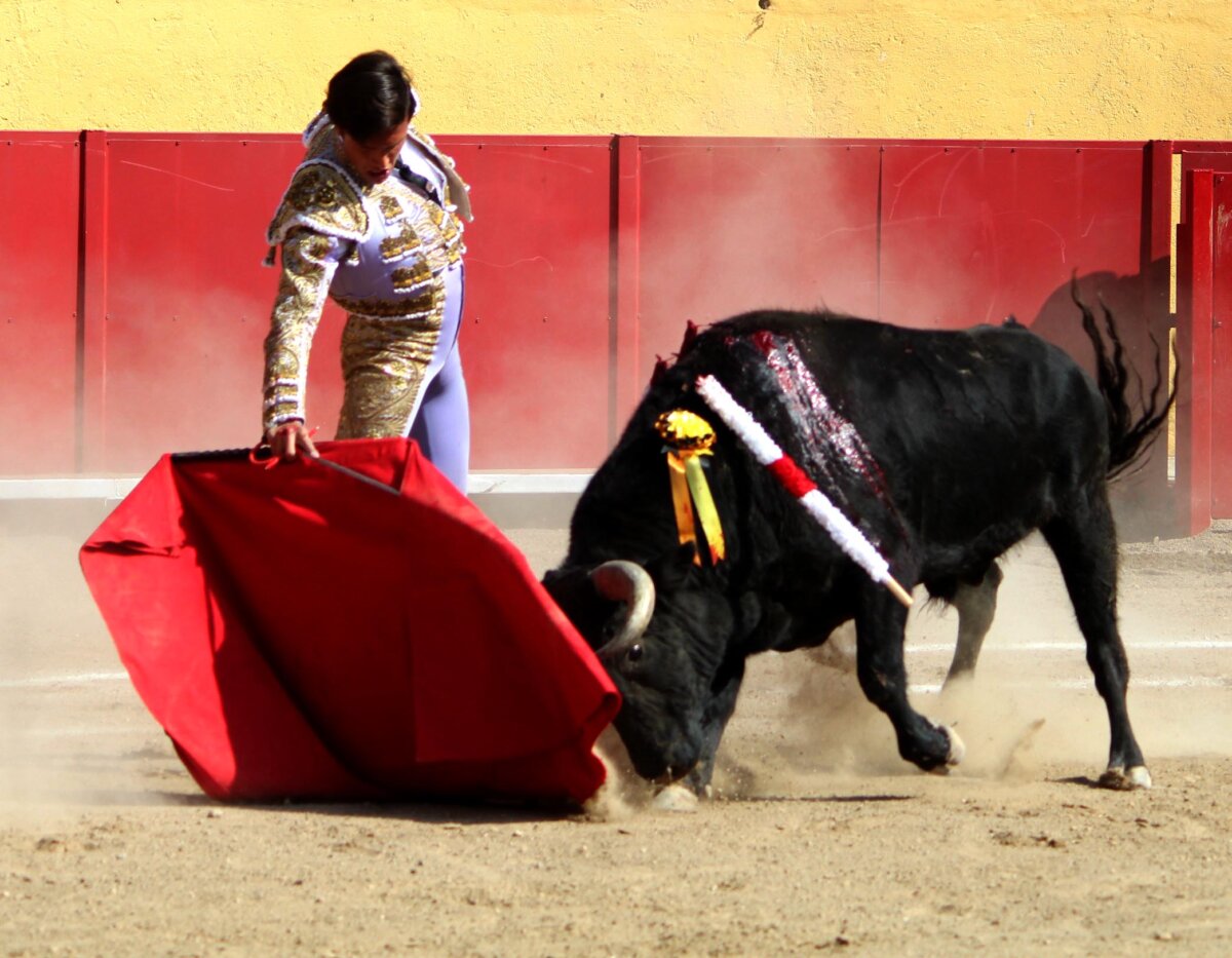 Héctor Gutiérrez y Eduardo Neyra gustan en Los Ibelles