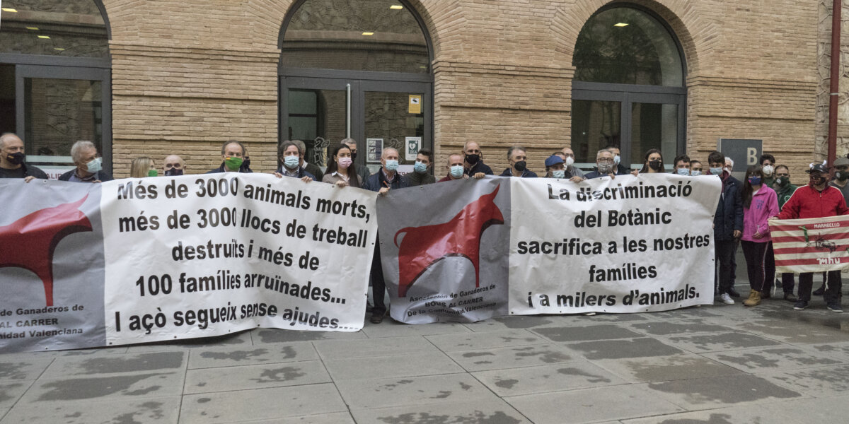 Los ganaderos de bravo valencianos protestan ante el abandono del gobierno autonómico