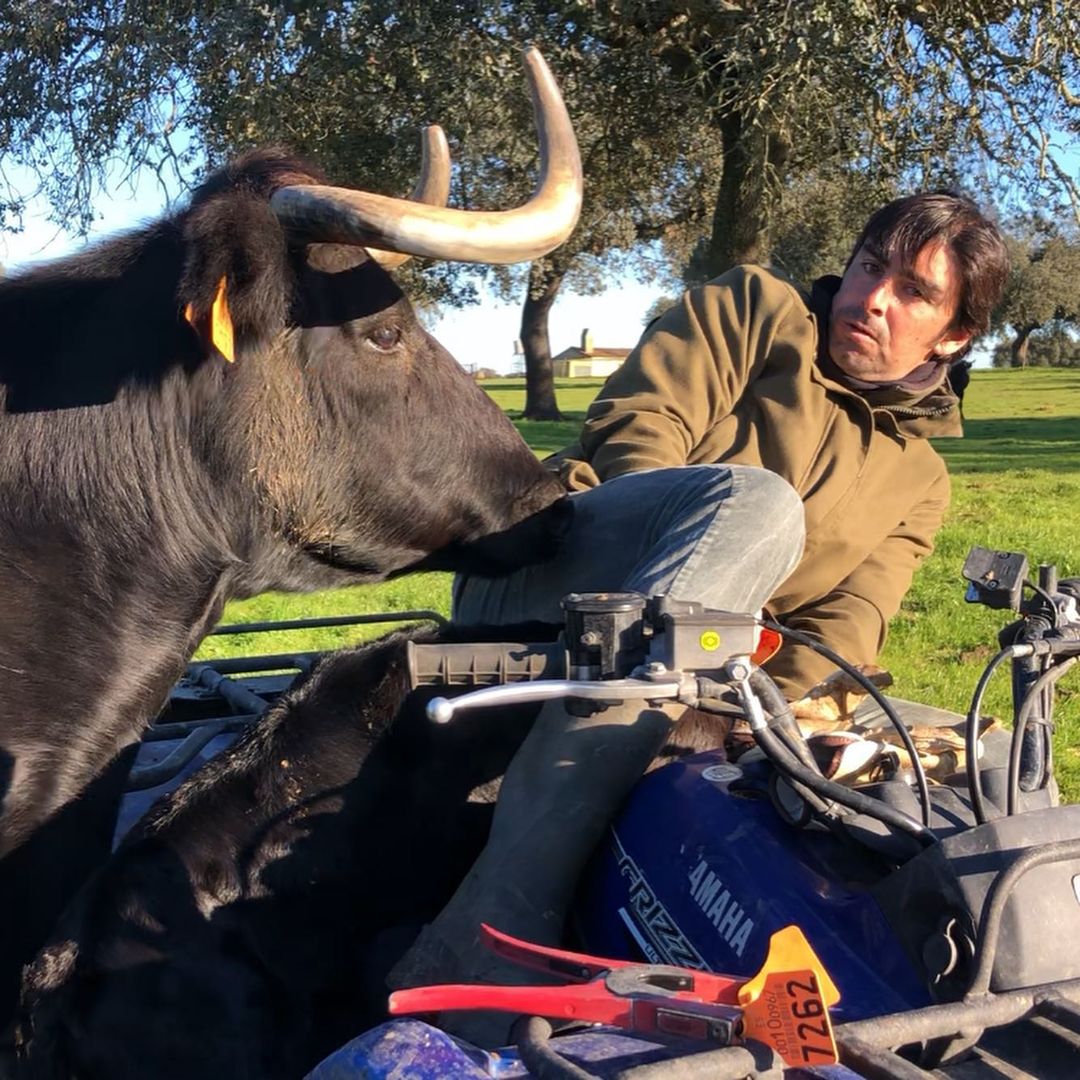 Perera se arrima hasta para acrotalar becerros