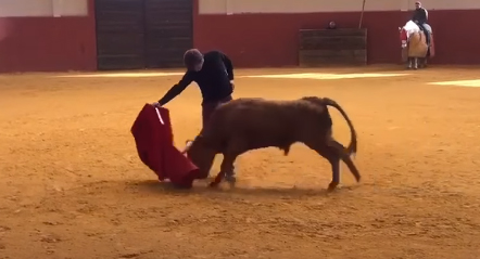El Juli se regala dos novillos a puerta cerrada