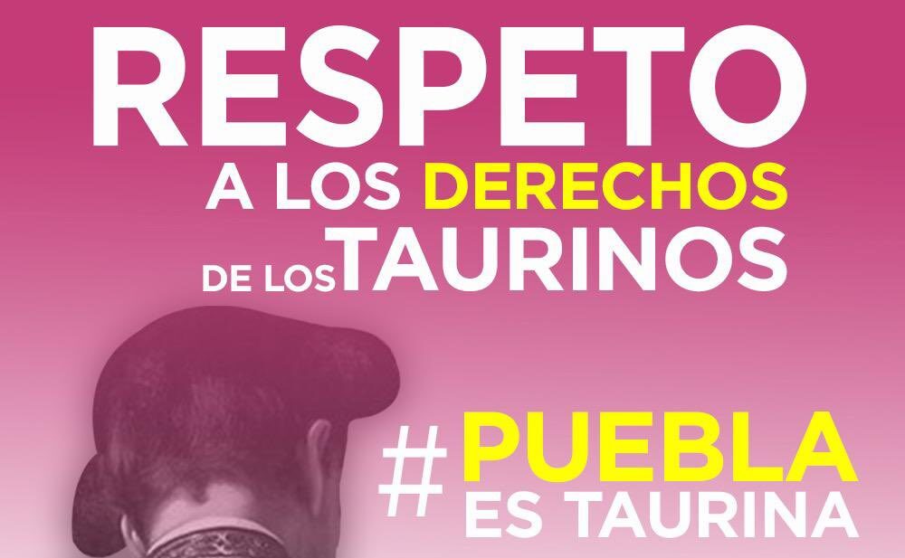 Puebla rechaza la prohibición de los festejos taurinos