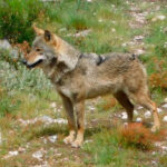 Foto: Fundación Artemisan