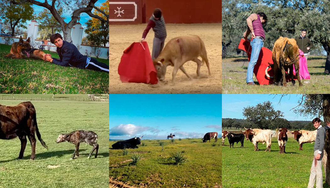 El toreo busca el refugio del campo