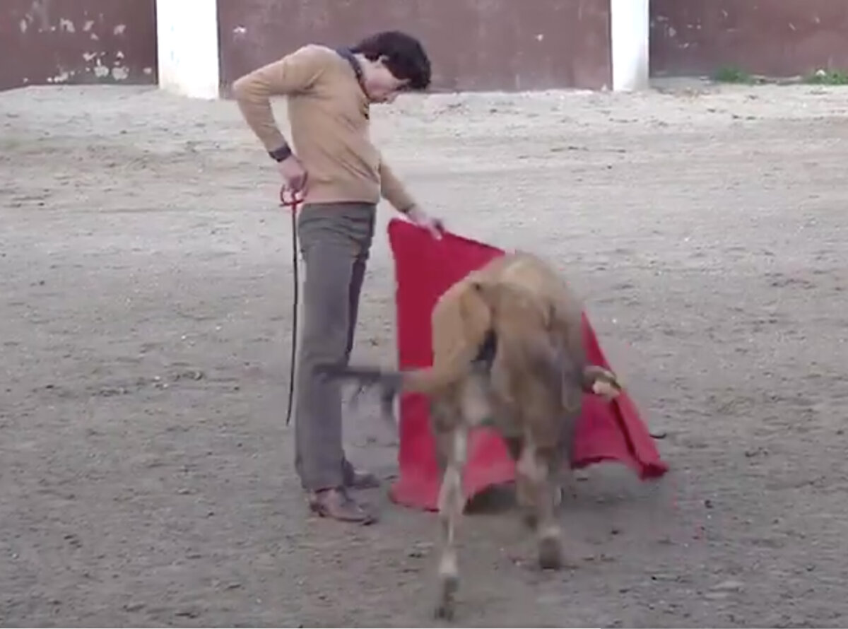 Ureña, en estado puro en San Isidro