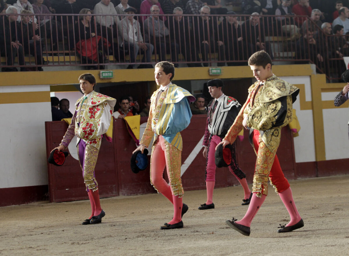 Magescq cancela su novillada de marzo