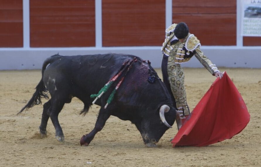 Pablo Aguado, toreo a flor de piel en Ubrique