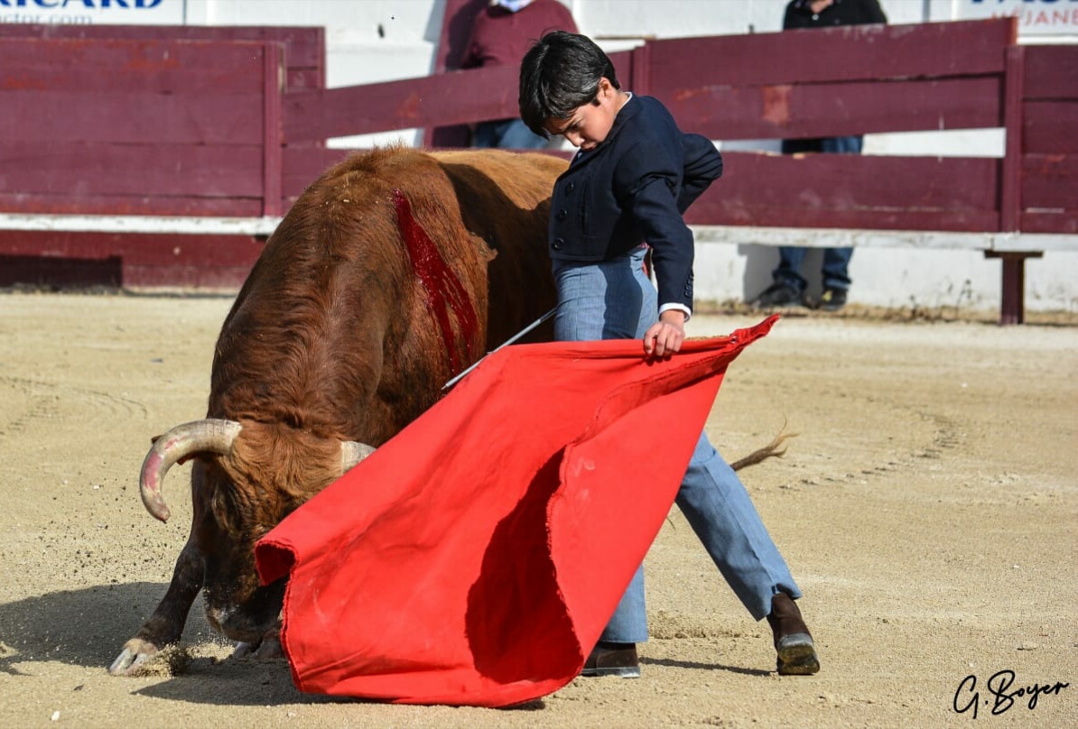 Marco Pérez borda el toreo... ¡con toros!
