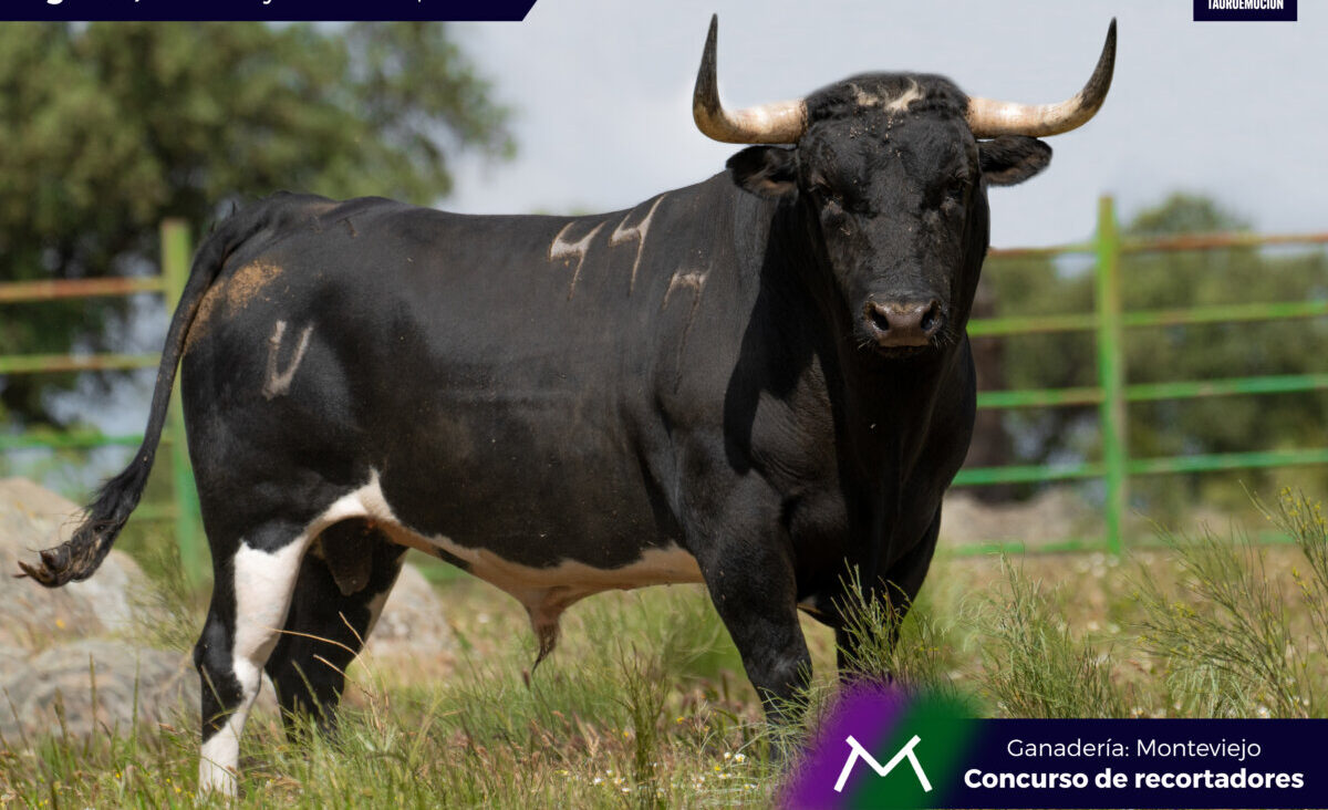 Astifinos y serios Monteviejos para Leganés