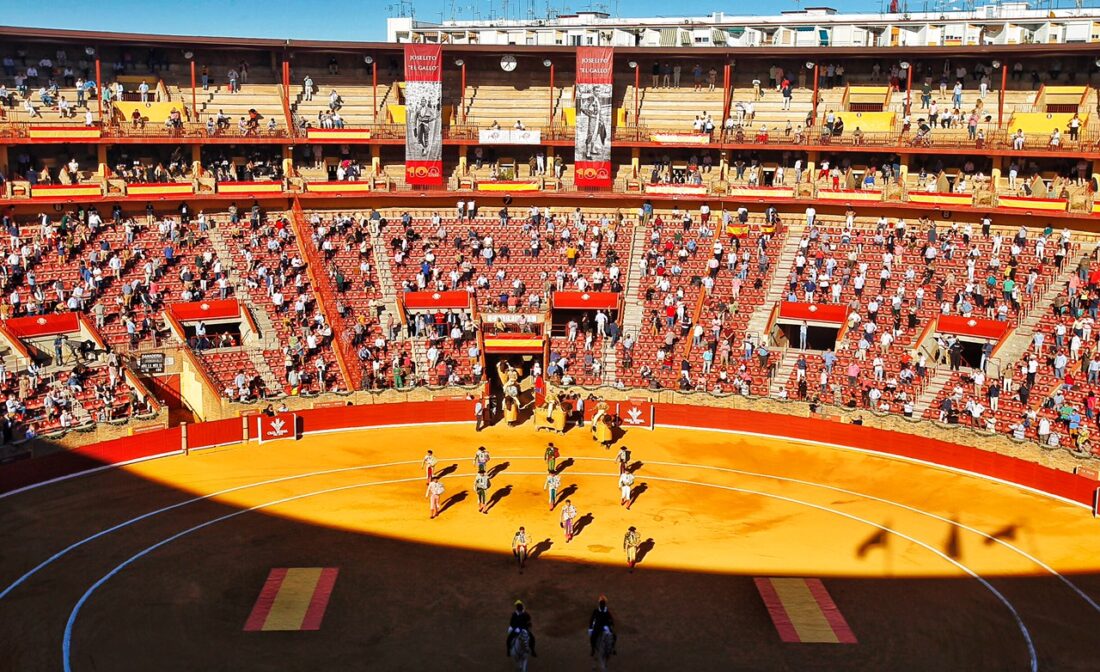 Córdoba no reafora la plaza tras la nueva normativa de Andalucía