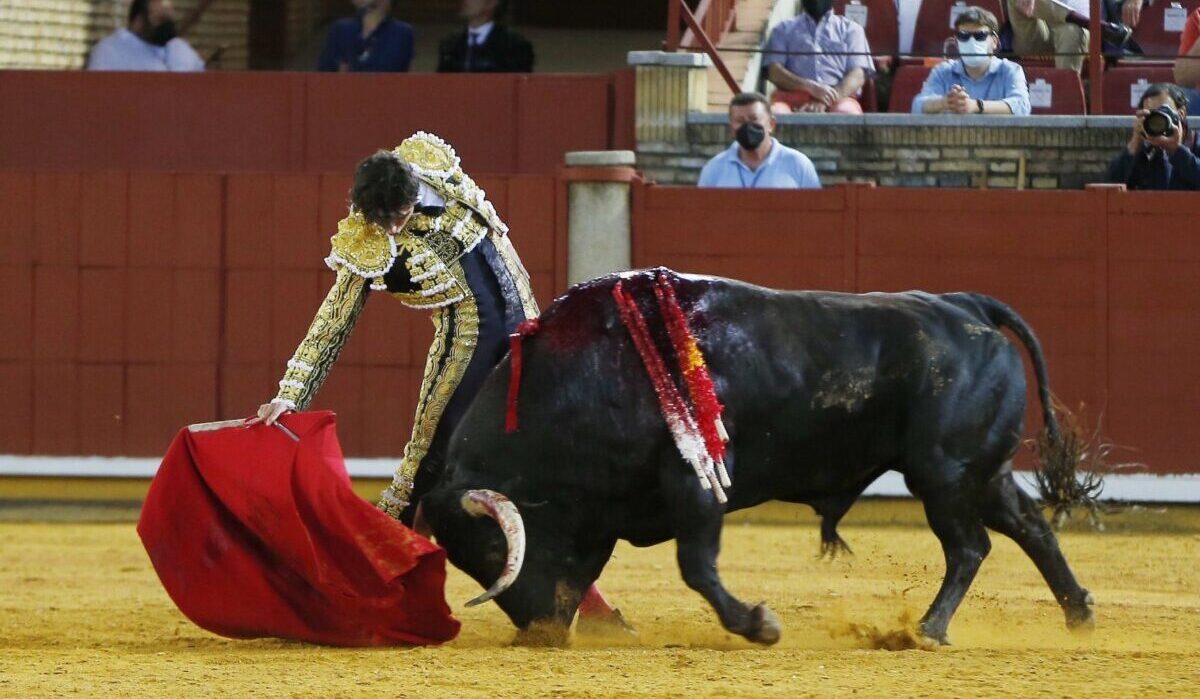 Roca Rey vuelve donde lo dejó y Aguado emociona con su torería