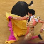 Momento en el que el quinto toro de Salvador Domecq prende a Filiberto. Foto: Julio César Sánchez