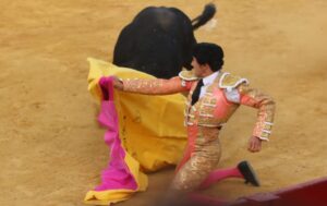 Momento en el que el quinto toro de Salvador Domecq prende a Filiberto. Foto: Julio César Sánchez