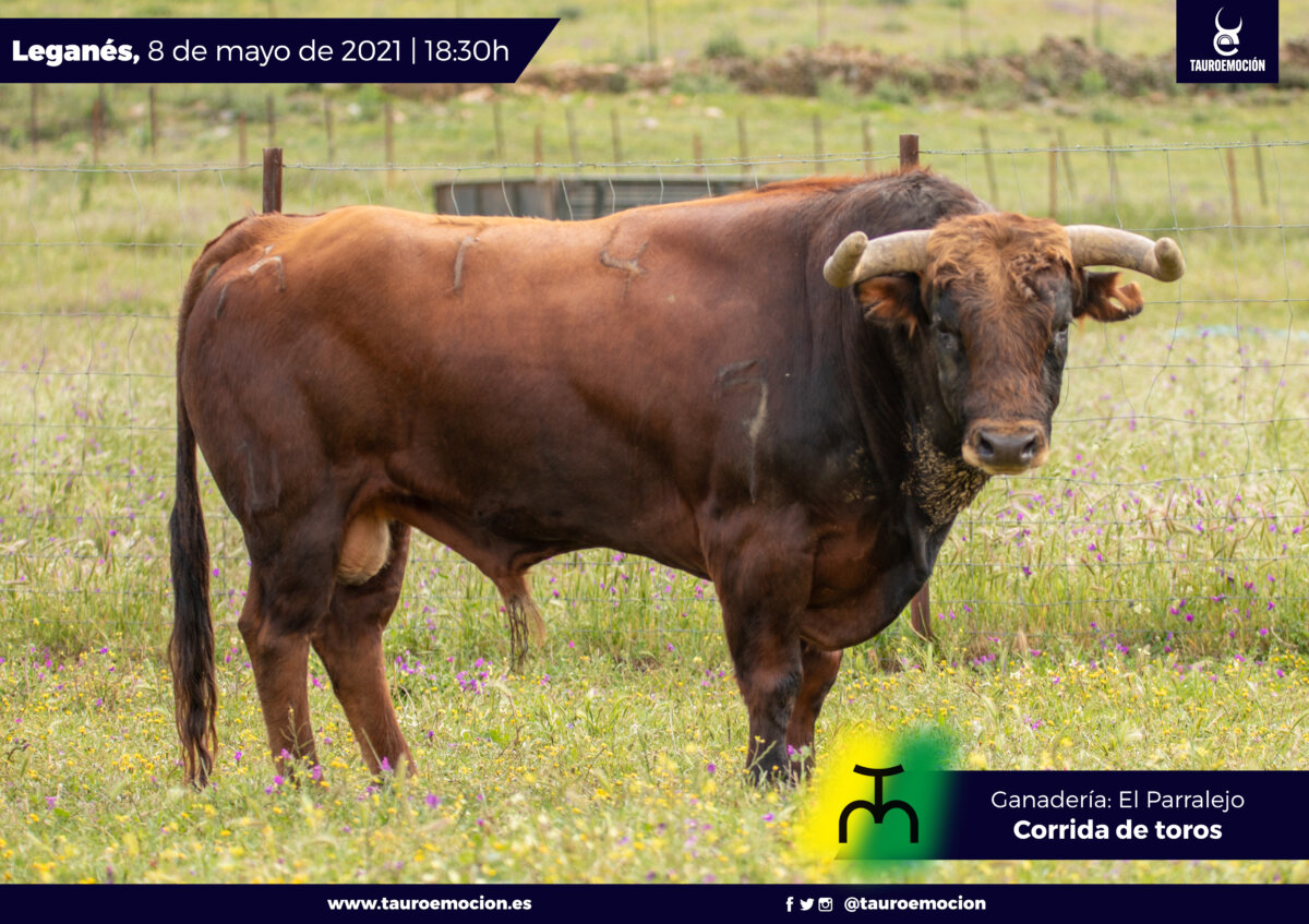 Javier Cortés reaparece en Leganés con Infortunado, de El Parralejo