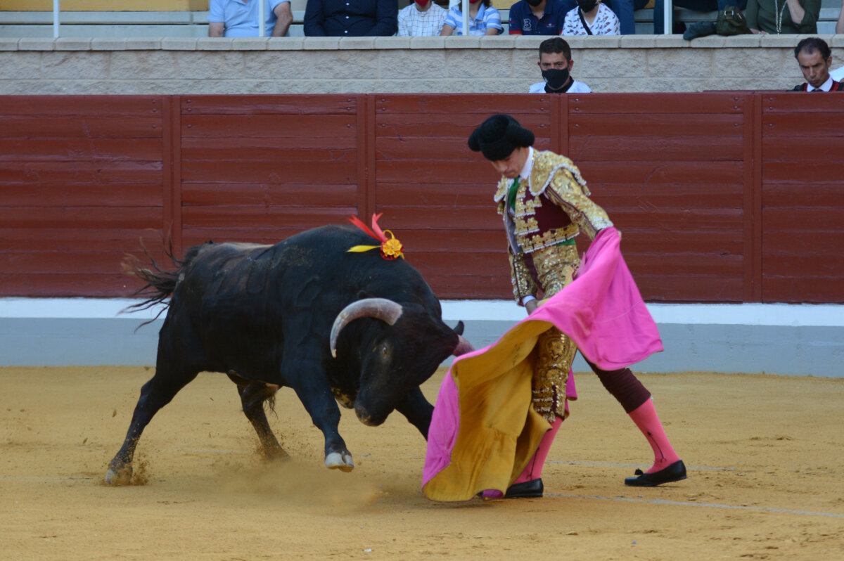 Clemente Jaume, dos orejas de un novillo de vuelta al ruedo de El Soto