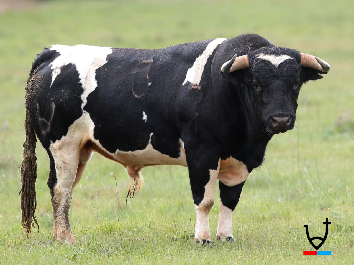 Valdellán, belleza y casta a partes iguales en tierras de León