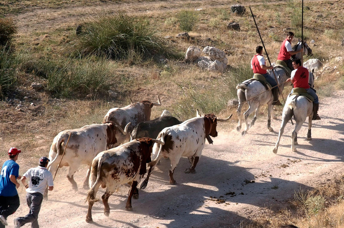 Guadalajara solicita un cambio en el Decreto para poder realizar festejos populares