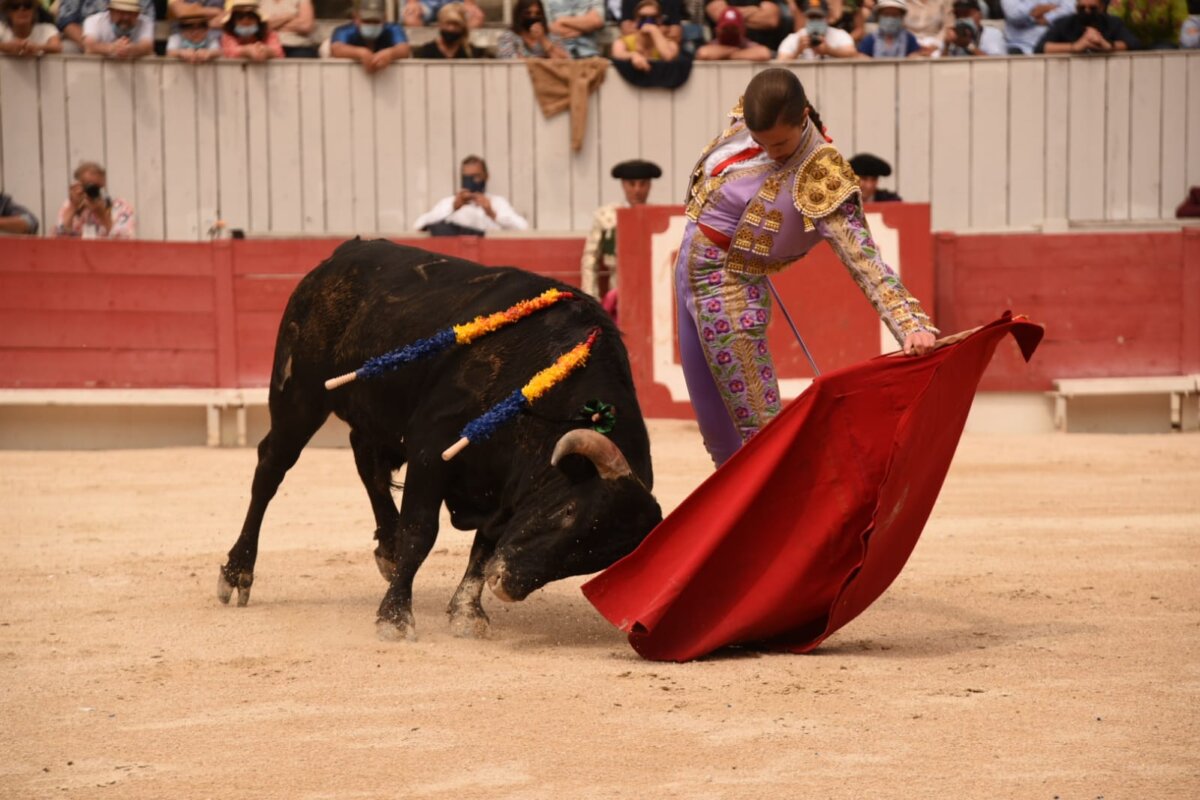 Sorprende Raquel Martín en la novillada matinal de Arles