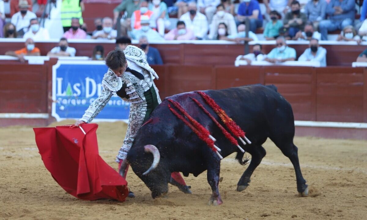El Juli y Aguado, recital de toreo caro con una excelente corrida de Santiago Domecq en Sanlúcar