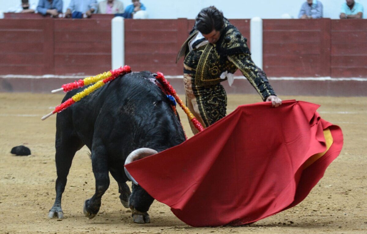 Morante, Juli y Manzanares brindan una gran tarde en León