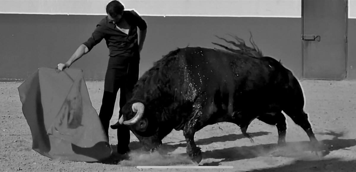 "¡Habría que pagar por torear en la plaza de El Puerto!"