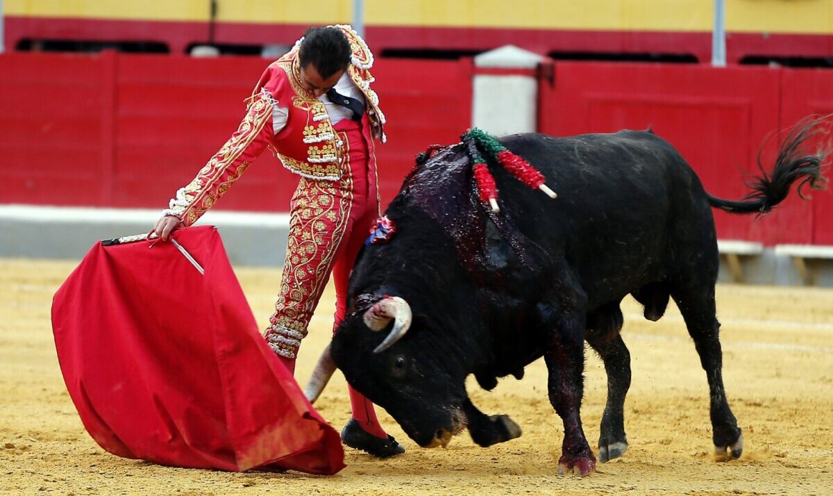 El Fandi: "En estos veinte años he hecho realidad muchos sueños"