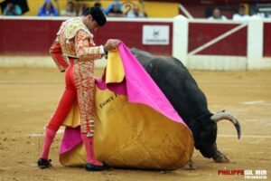 Ponce, lanceando a uno de los toros de aquella corrida. Foto: Philippe Gil Mir