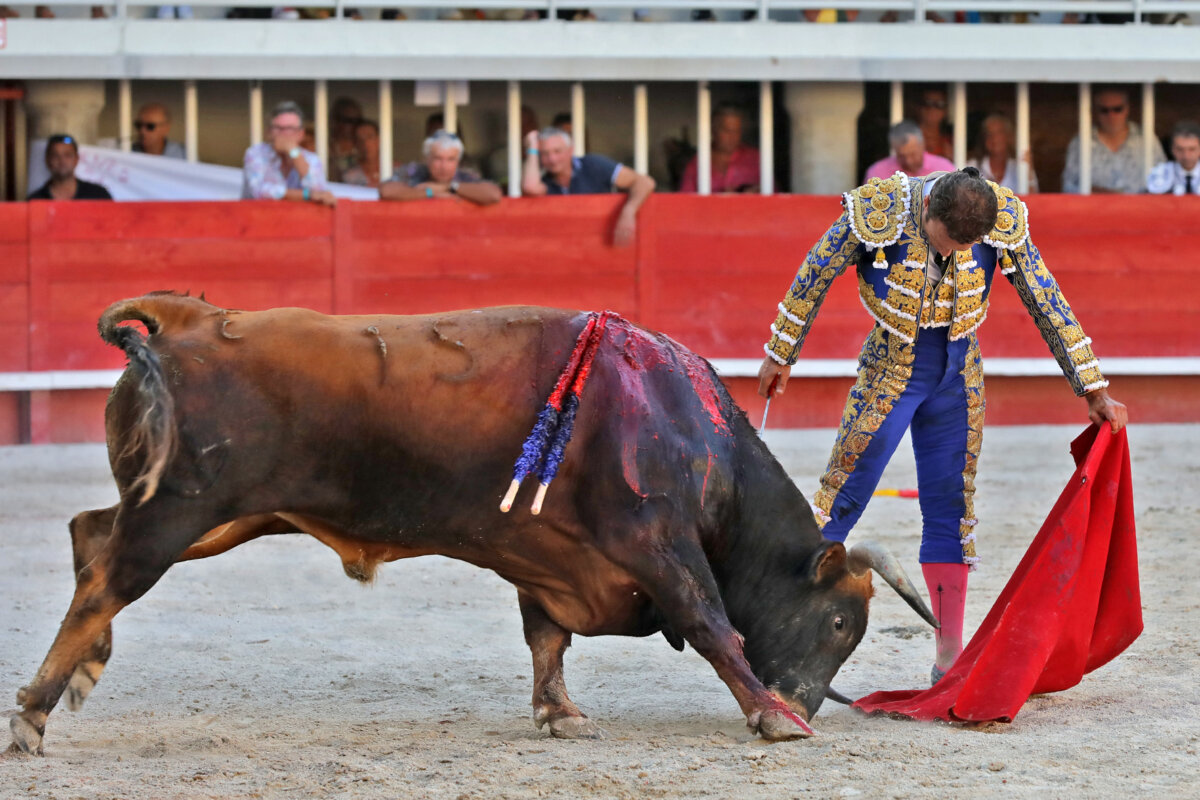Enrique Ponce, con sustituto para Bayona