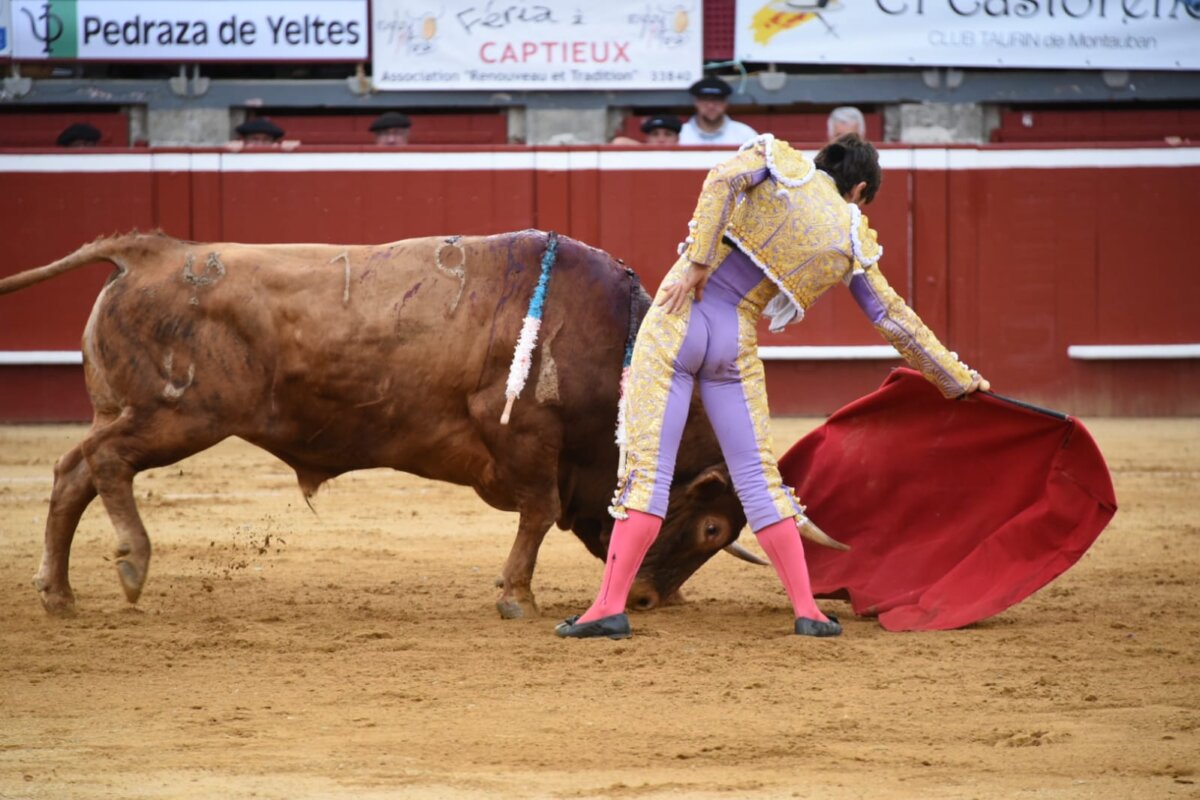 Sombrilla, de Pedraza de Yeltes, mejor toro de Mont de Marsan