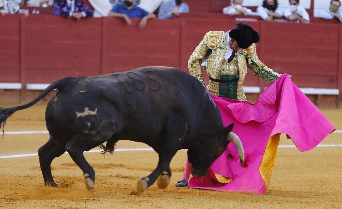 Morante y La Quinta, premiados con la Oreja y el Hierro de Oro de RNE