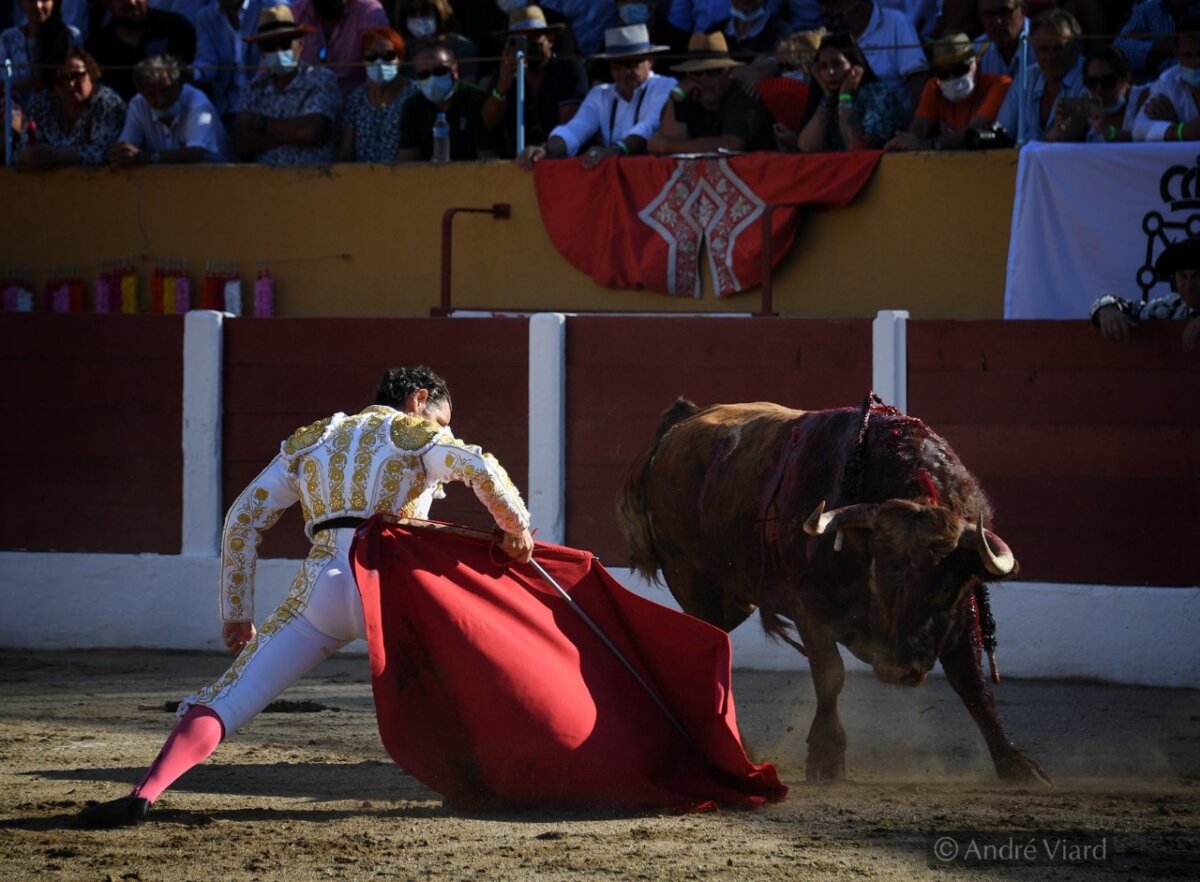 Pánico, dura batalla en Ceret con la Casta Navarra
