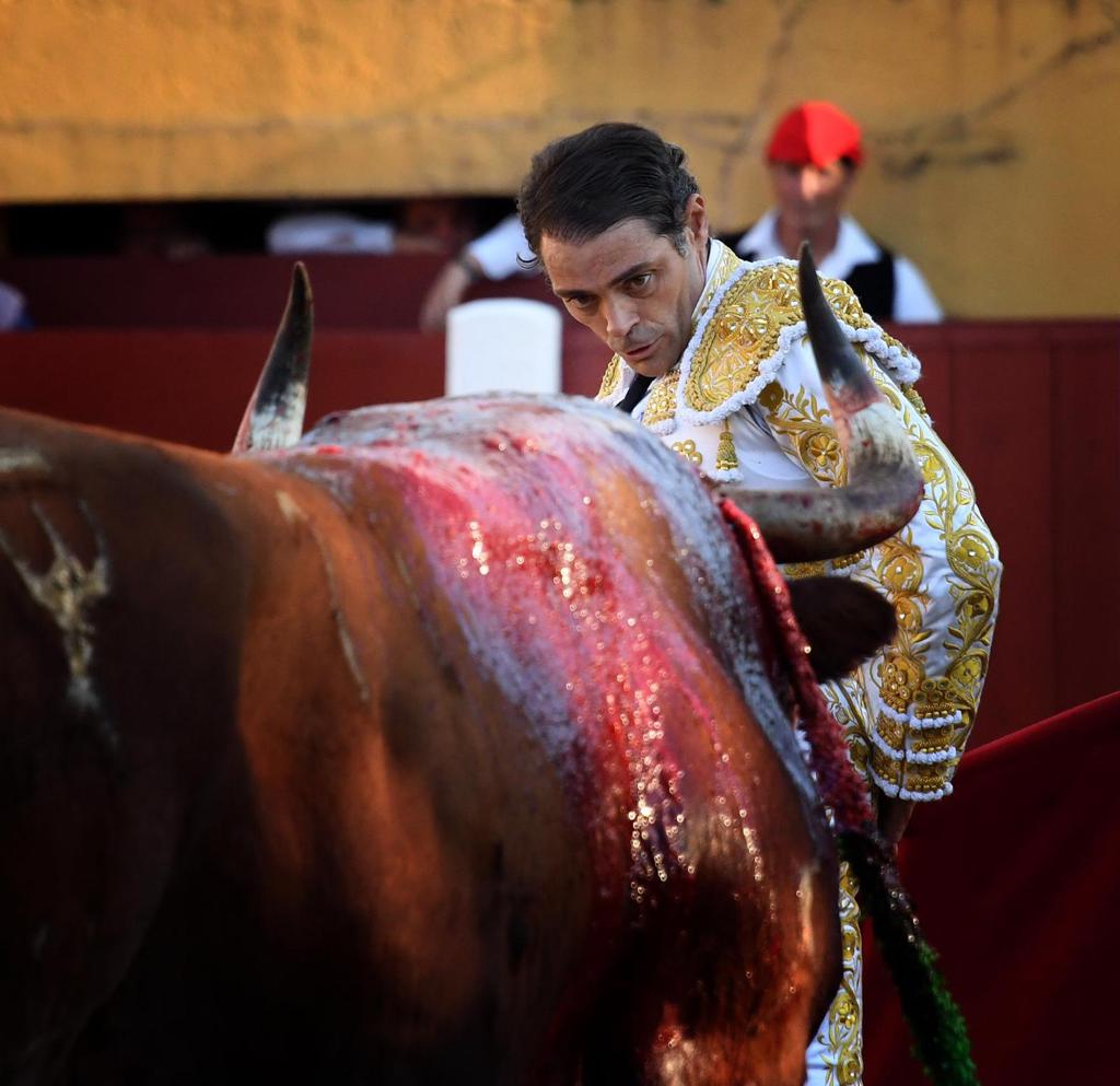 Encerrona histórica de Sánchez Vara: en solitario con seis toros de Reta de Casta Navarra