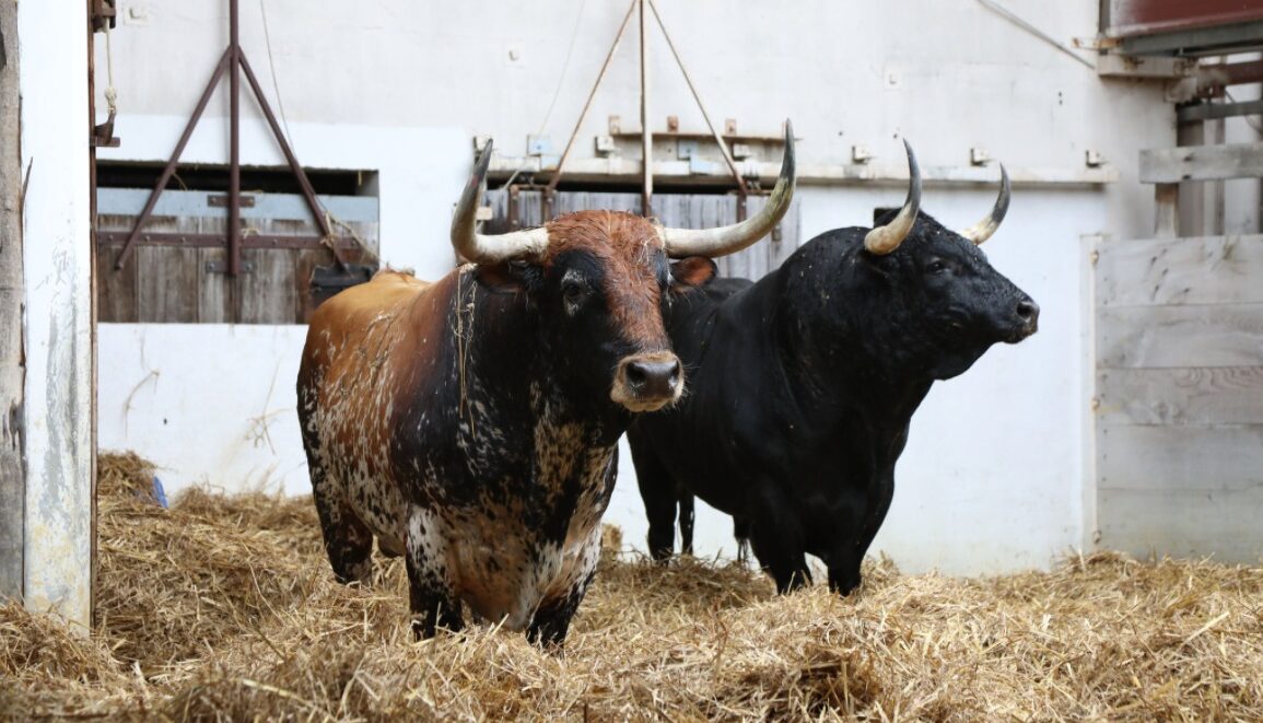 Imagen: Fotos Louise de Zan