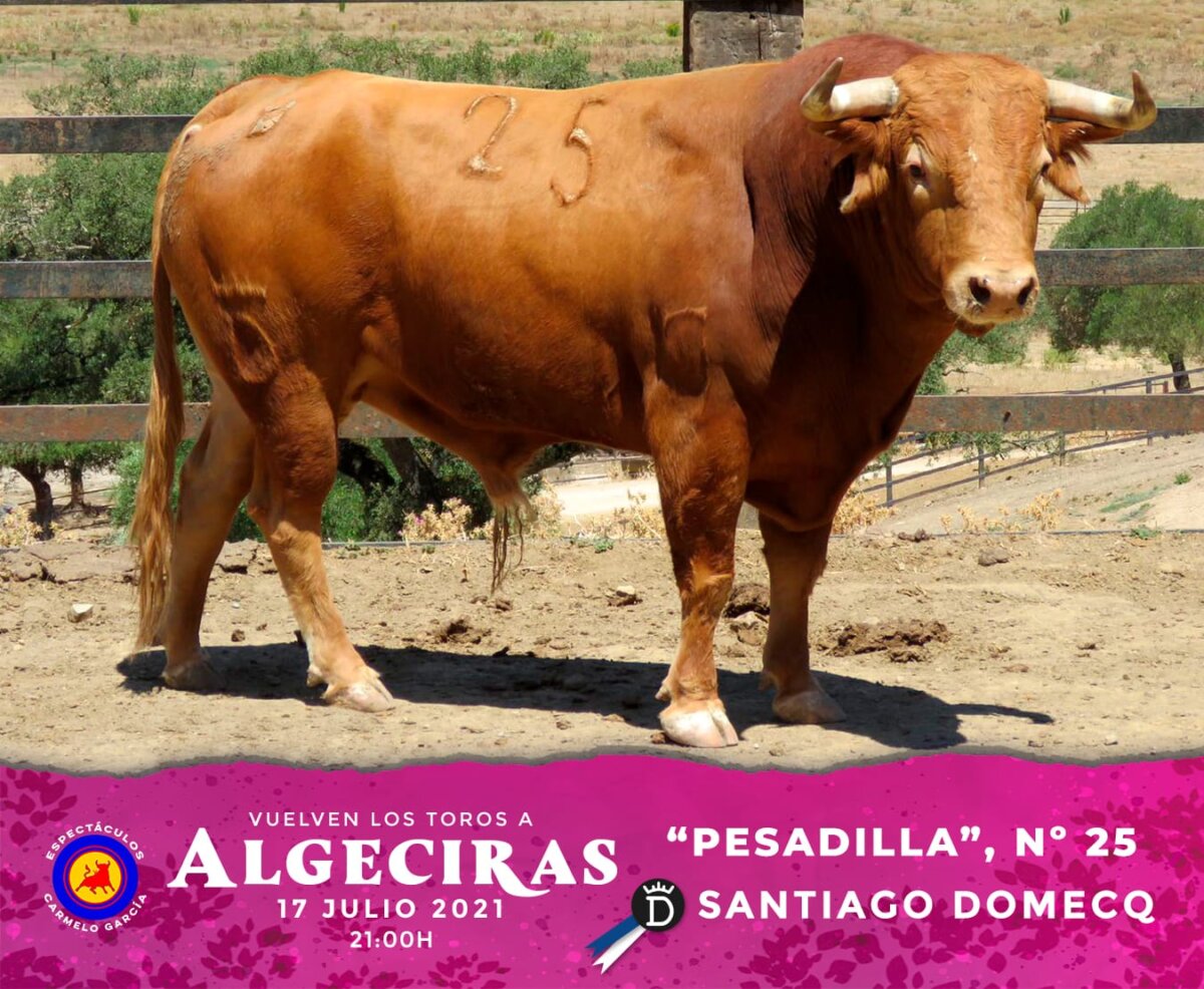 Estos son los toros de Santiago Domecq para su cita en Algeciras