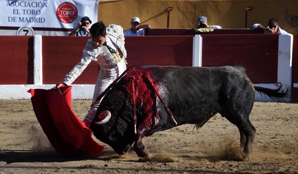 La terna, sin espada ante un serio encierro de Raso de Portillo en Ceret