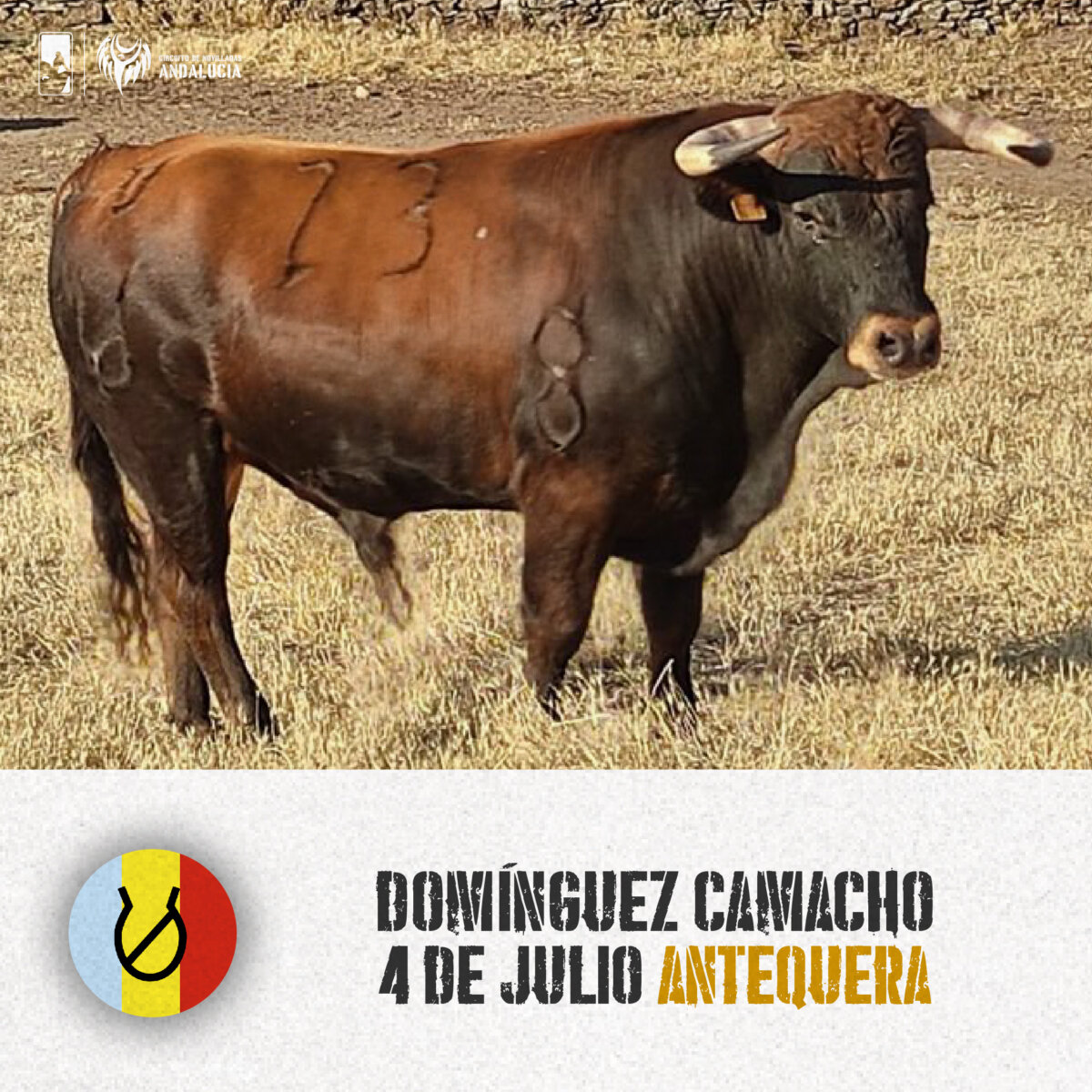 Los novillos de la primera gran final del Circuito de Andalucía