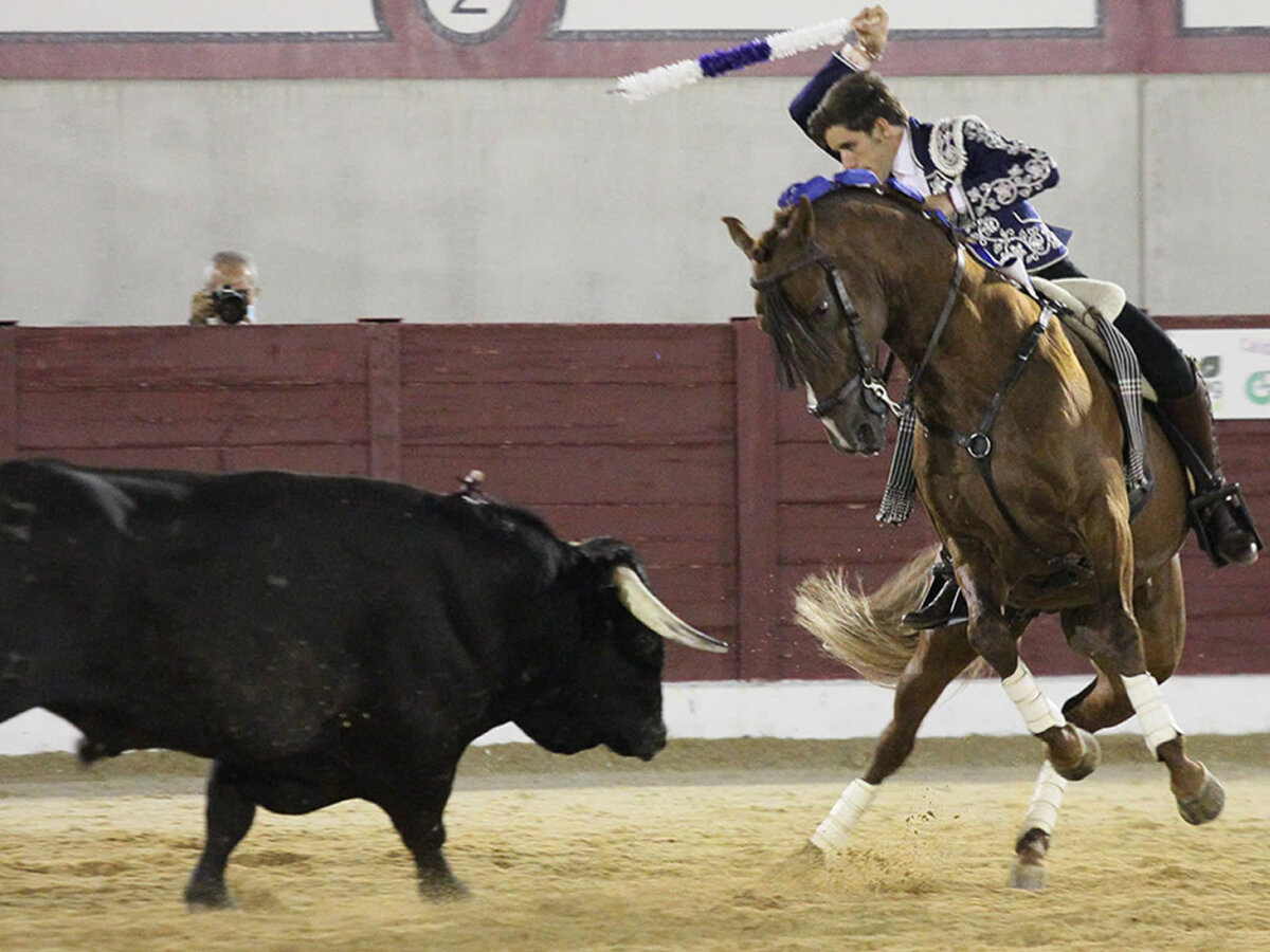 Triunfo de la terna en la nocturna de rejones de Torija