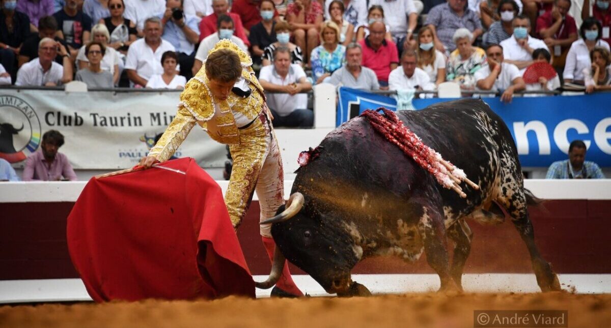 Ginés Marín y Juan Leal, la juventud se impone en Dax