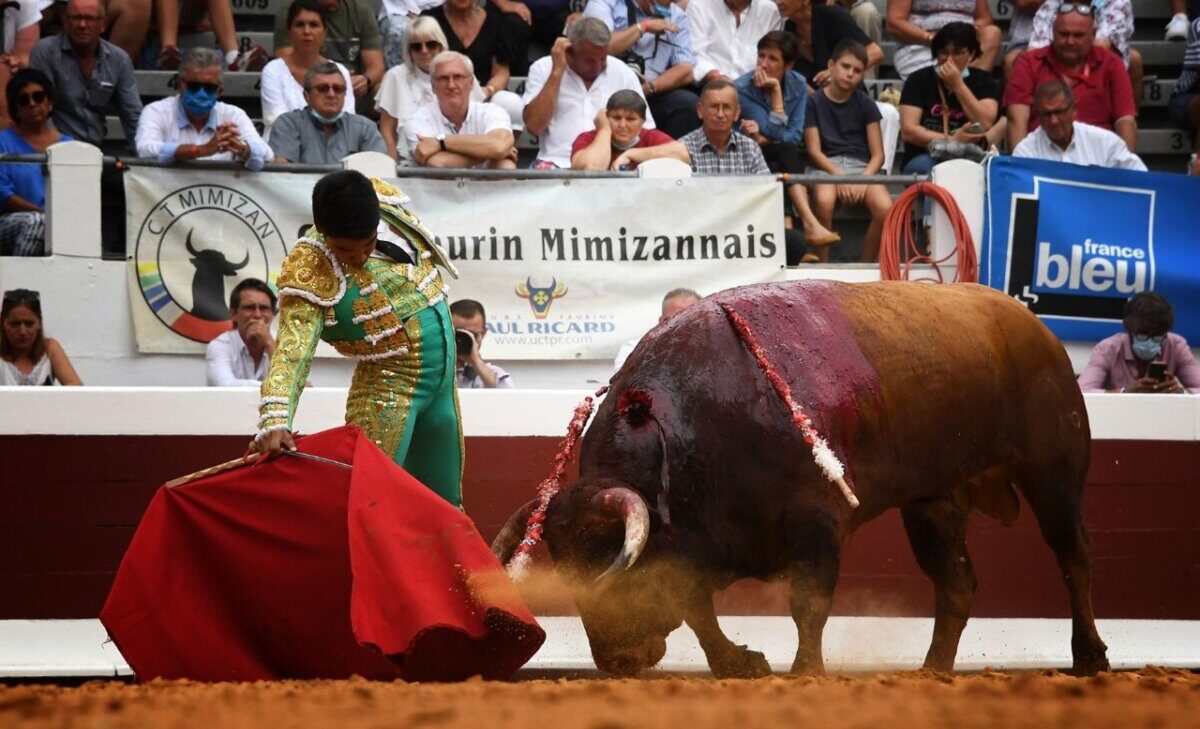 Molina y Gutiérrez, la profundidad y el gusto sobresalen en Dax