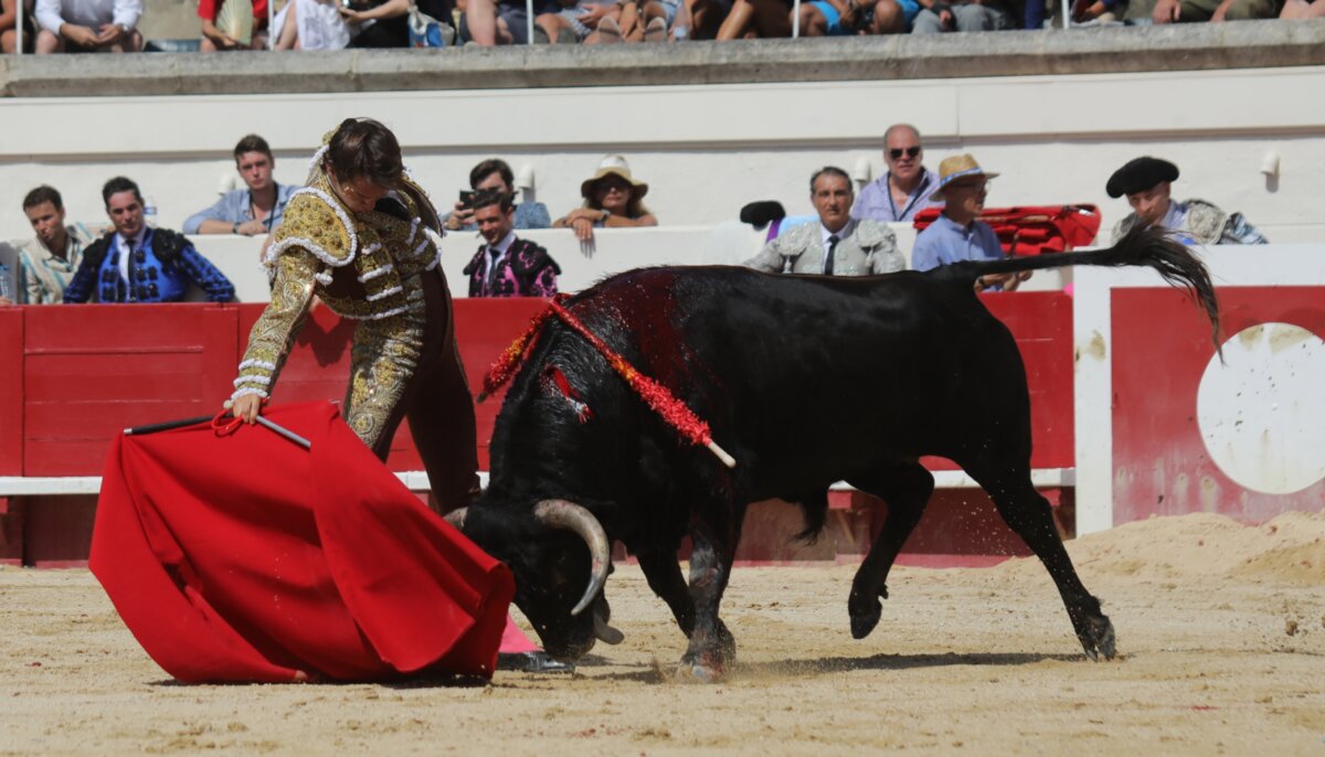 Arturo Gilio y José Fernando Molina, con sustituto para esta tarde en Villaseca de la Sagra