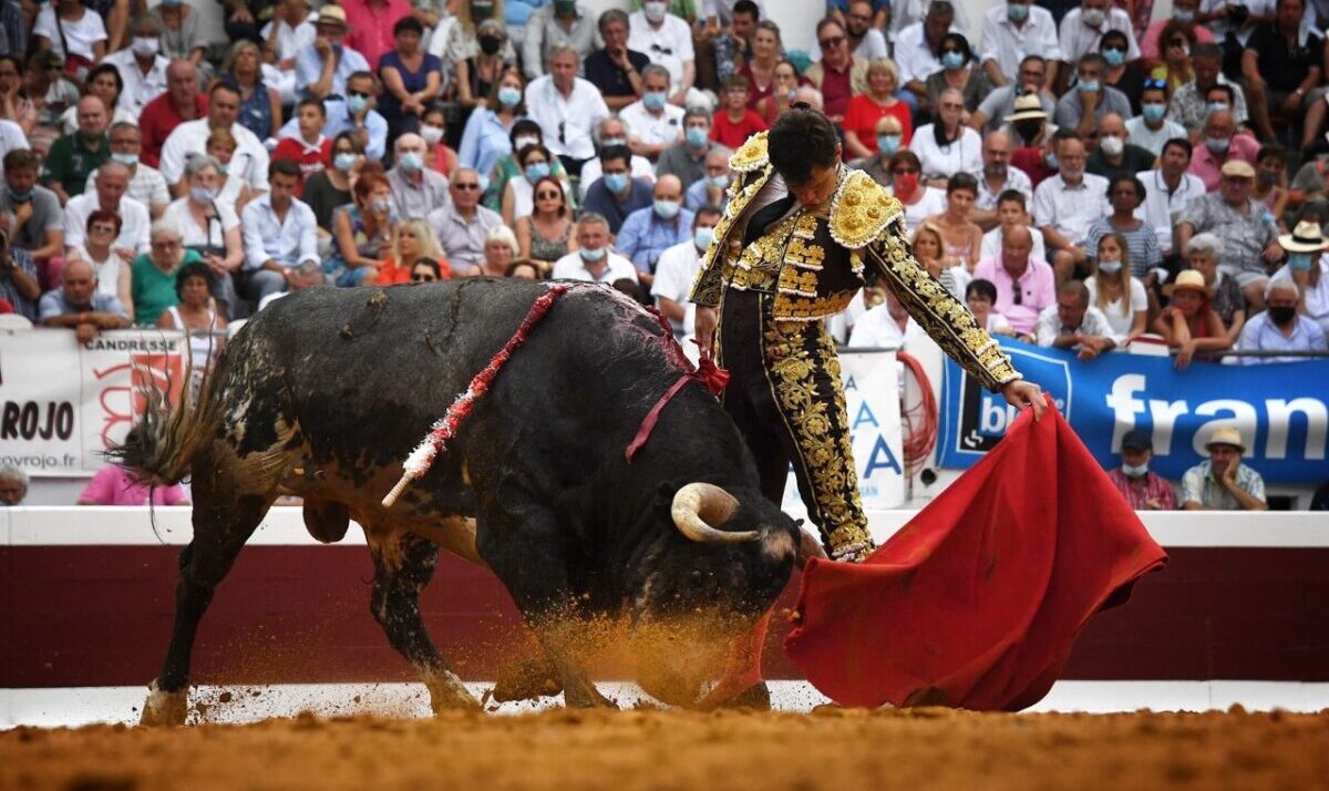 Daniel Luque cierra un acontecimiento en Dax