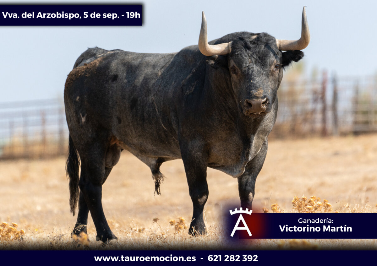 Los serios victorinos para Villanueva del Arzobispo