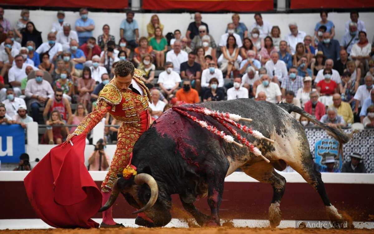 La Unión de Clubes Taurinos de Francia falla sus premios