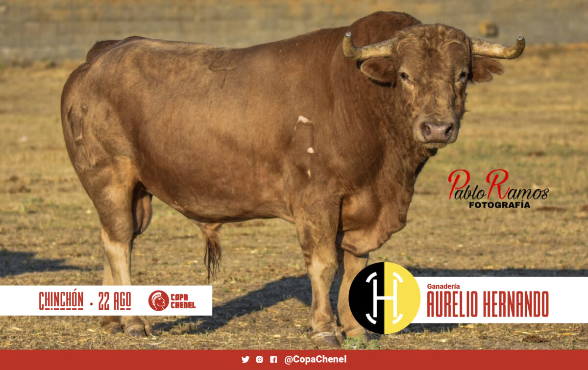 José Escolar y Aurelio Hernando, segundo duelo ganadero de la Copa Chenel