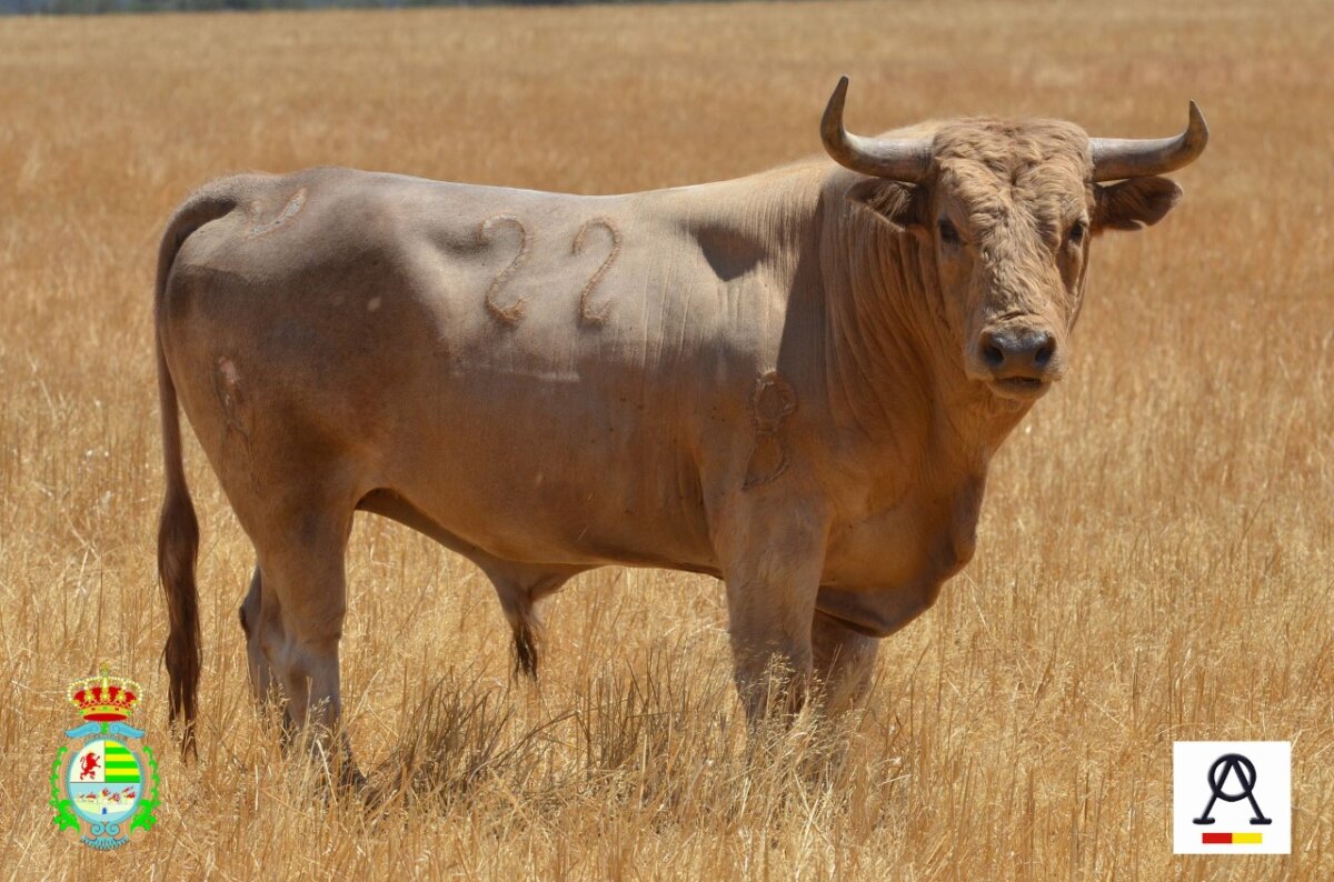Desafío ganadero para el 12 de septiembre en Villaseca de la Sagra