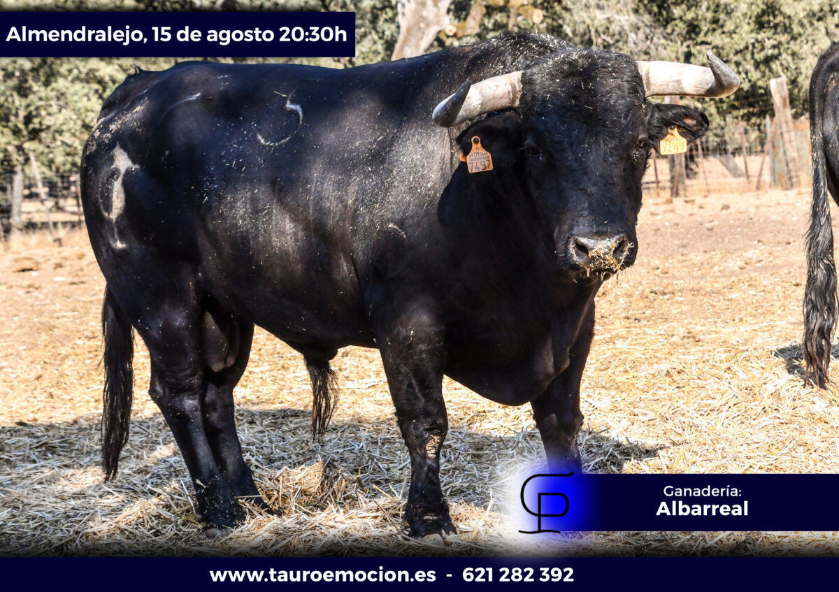 Estos son los toros de Albarreal reseñados para Almendralejo