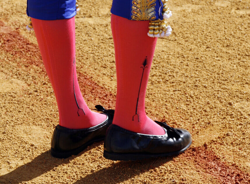 Novillada 'monstruo' el 30 de agosto en Puebla de Don Rodrigo