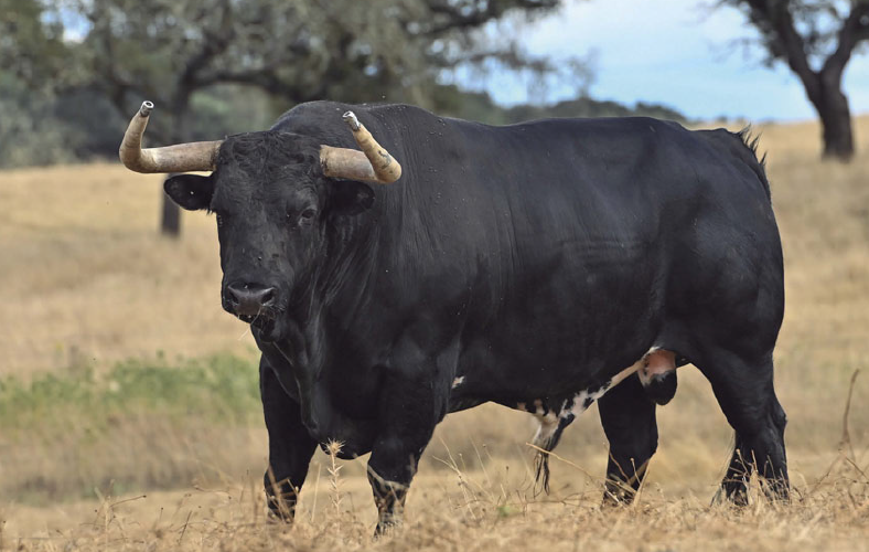 Murteria Grave, ser lo que fue