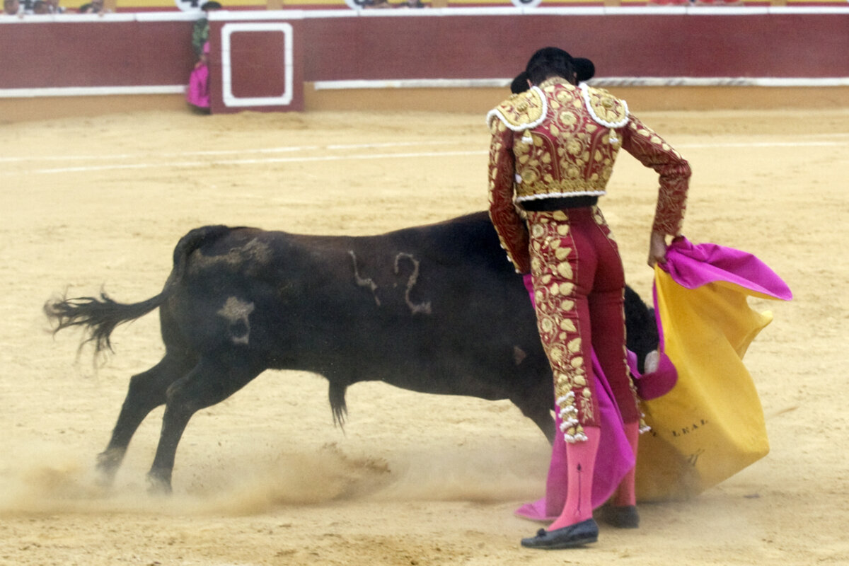 Uceda Leal, en Tudela. Foto: Alberto Faricle